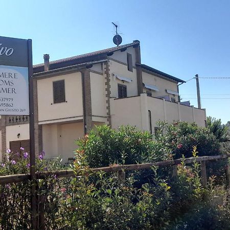 Agriturismo Il Vecchio Olivo カスタニェート・カルドゥッチ エクステリア 写真