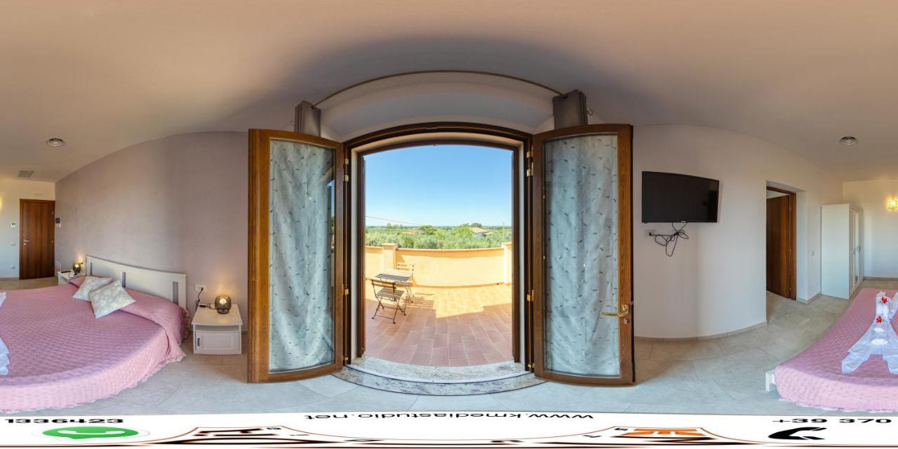 Agriturismo Il Vecchio Olivo カスタニェート・カルドゥッチ エクステリア 写真