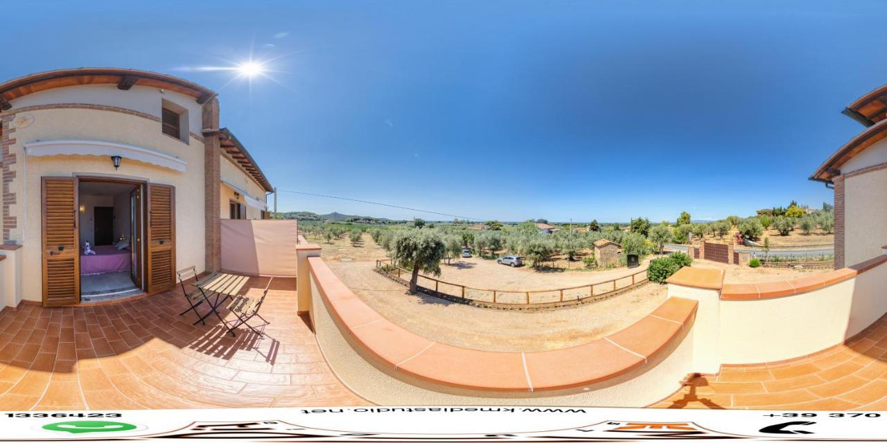 Agriturismo Il Vecchio Olivo カスタニェート・カルドゥッチ エクステリア 写真