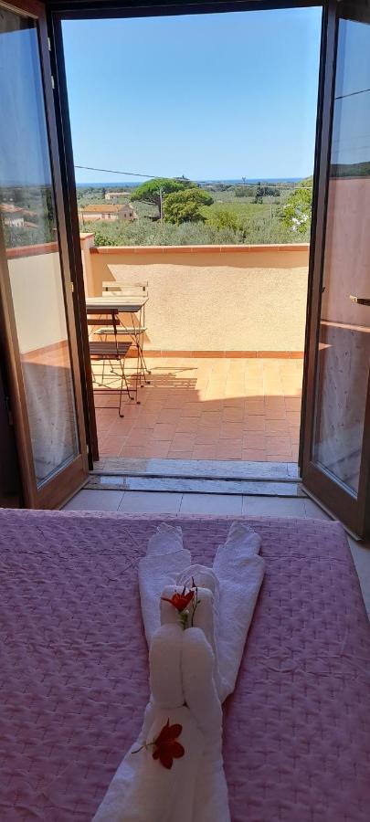 Agriturismo Il Vecchio Olivo カスタニェート・カルドゥッチ エクステリア 写真