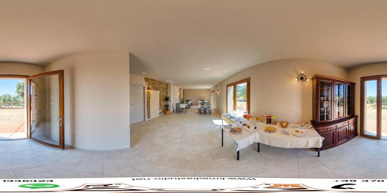 Agriturismo Il Vecchio Olivo カスタニェート・カルドゥッチ エクステリア 写真