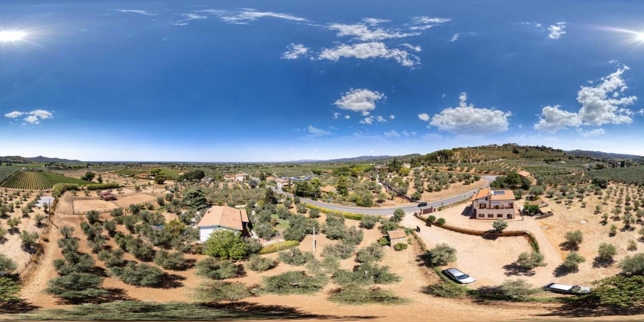 Agriturismo Il Vecchio Olivo カスタニェート・カルドゥッチ エクステリア 写真