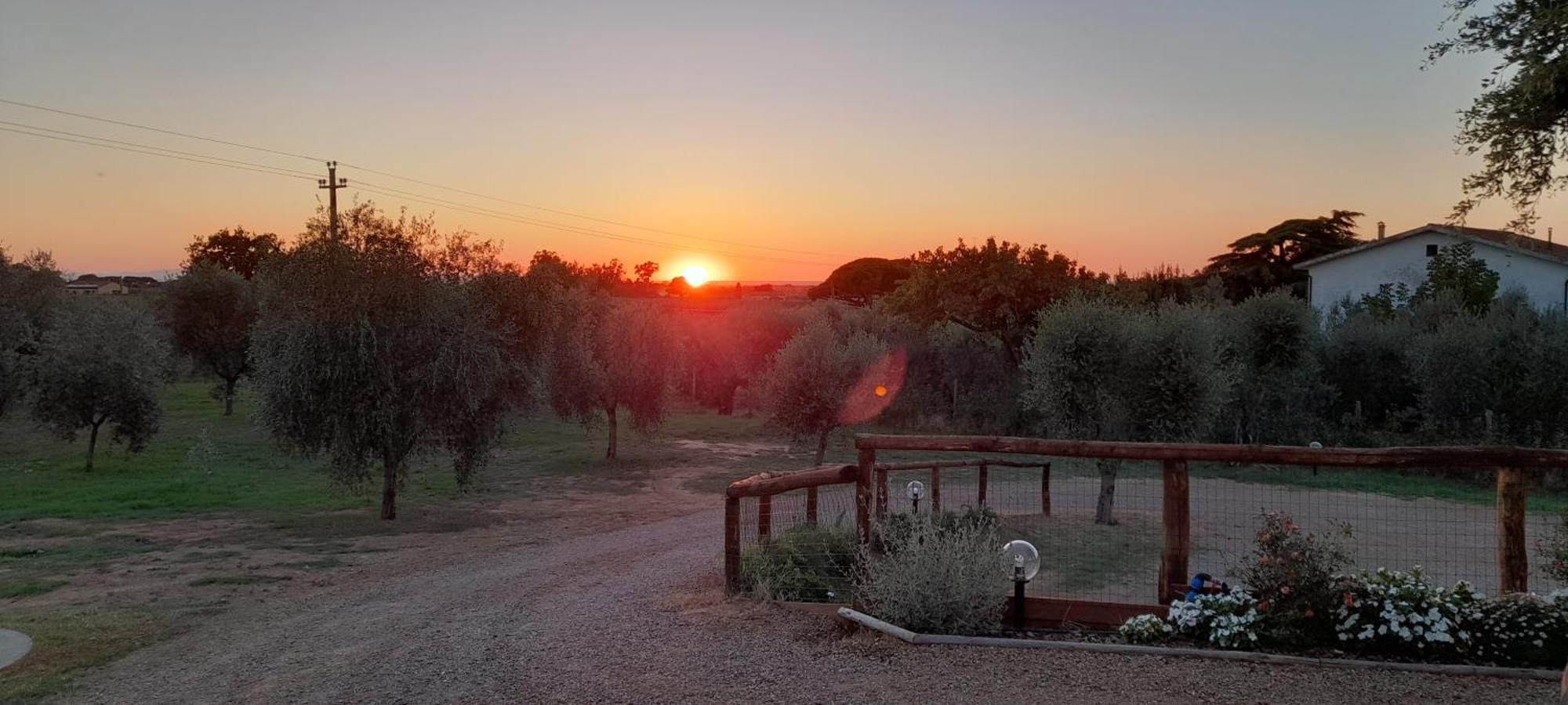 Agriturismo Il Vecchio Olivo カスタニェート・カルドゥッチ エクステリア 写真