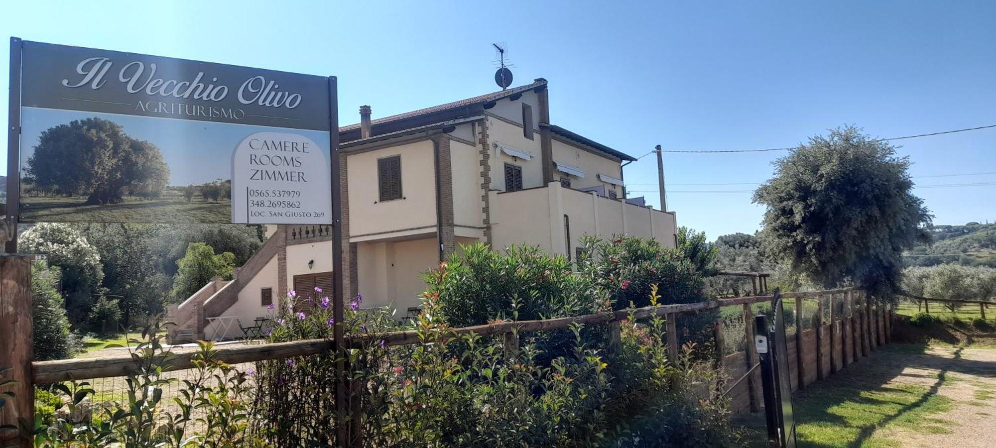 Agriturismo Il Vecchio Olivo カスタニェート・カルドゥッチ エクステリア 写真